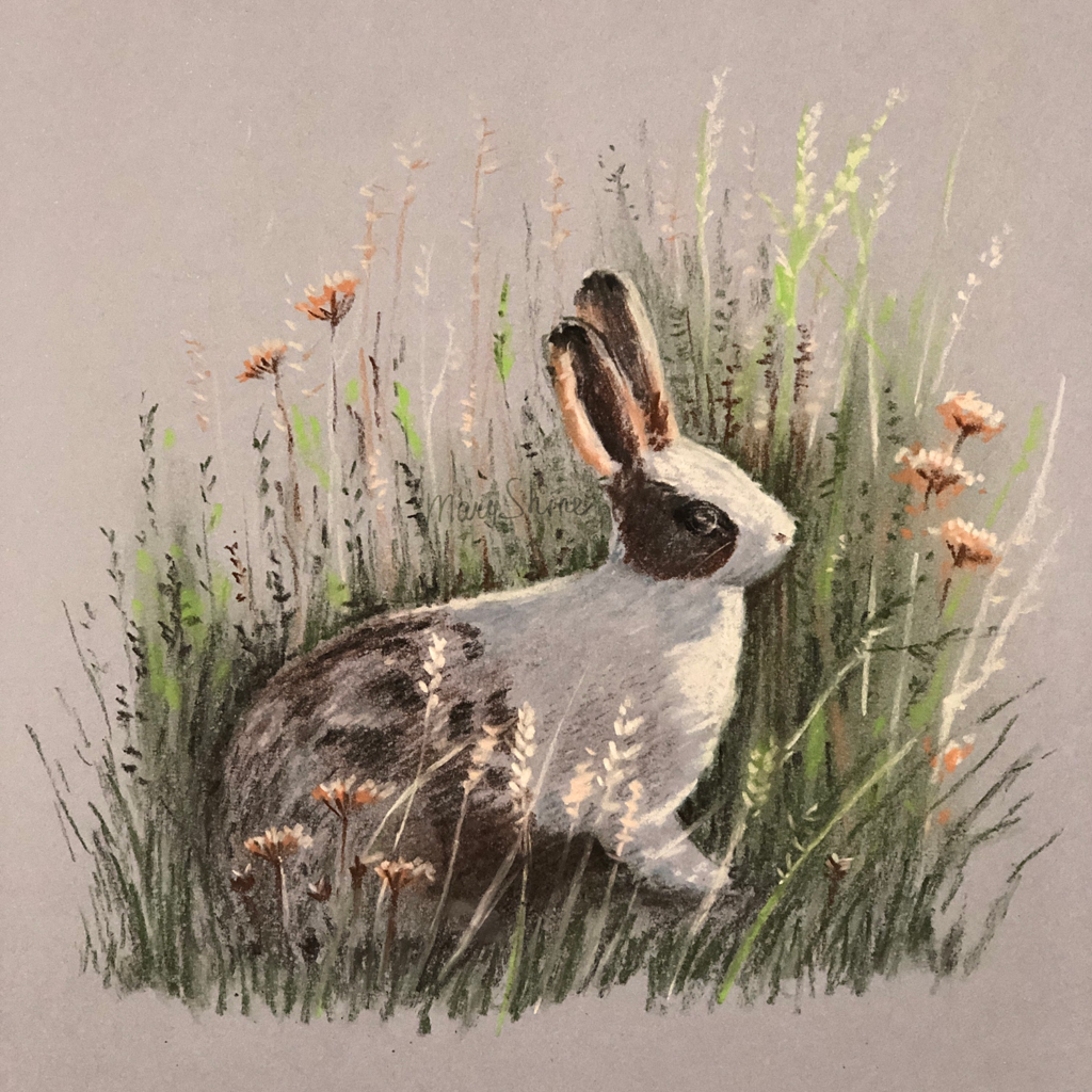 bunny